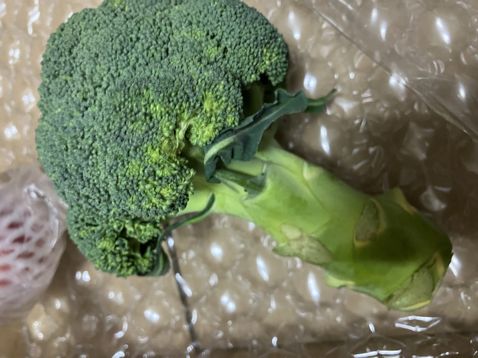 らでぃっしゅぼーやで届いたブロッコリー