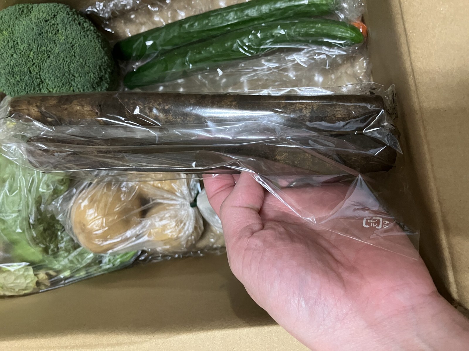 らでぃっしゅぼーやで届いた土つきのごぼう